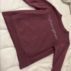 Champion sweater